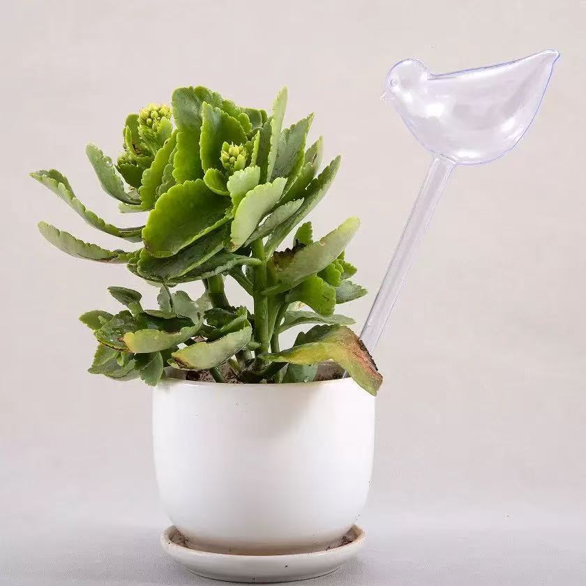 4/8PC Glass Look Automatic Pla - огляд і ціна Automatic Plant Watering Spikes Drip Kit