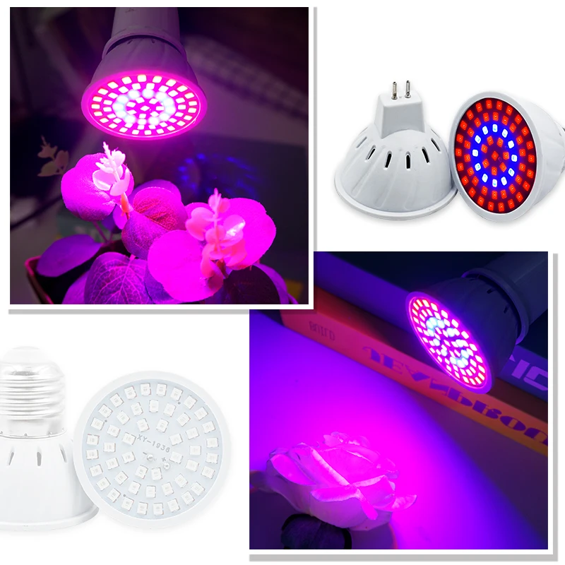 Phyto Lamp Full Spectrum LED G - огляд і ціна Plant Grow Light Full Spectrum Clip On