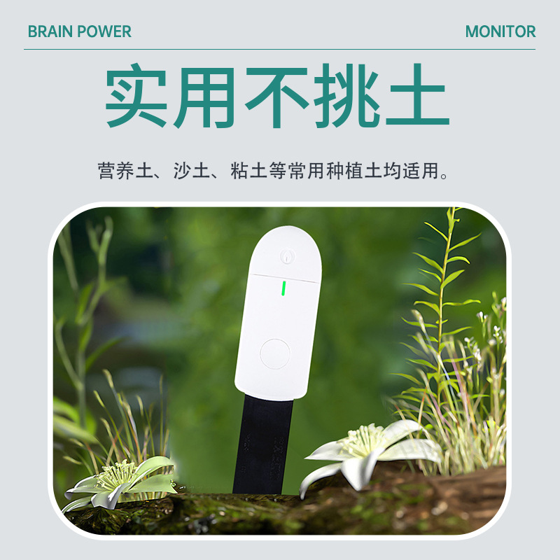 Smart Soil Moisture Meter Mois - огляд і ціна Smart Plant Sensor Soil Moisture Meter