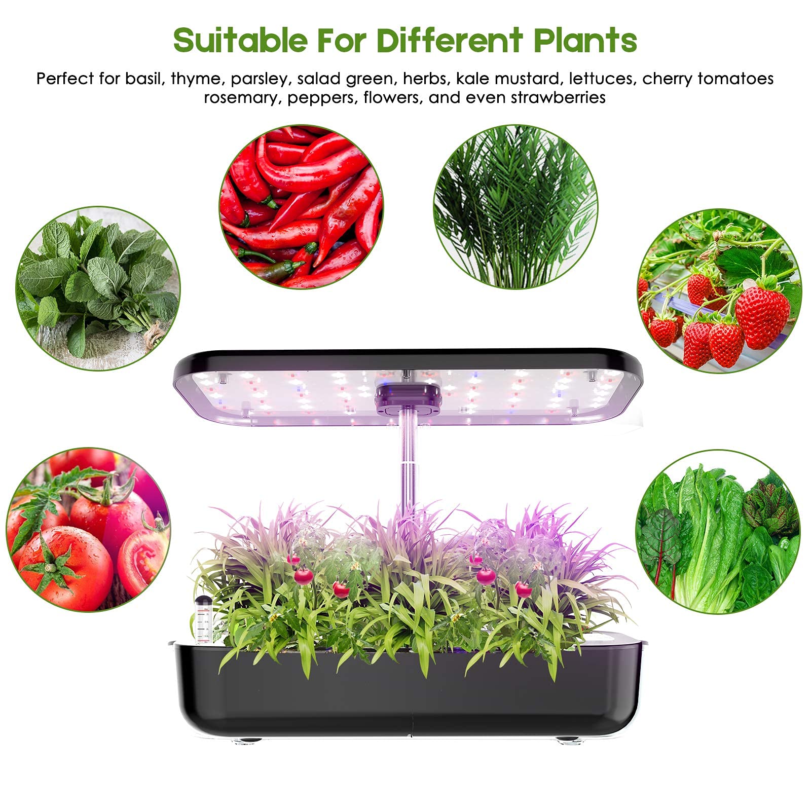 Hydroponics Growing System 12  - огляд і ціна Indoor Herb Garden Grow Light Smart Kit